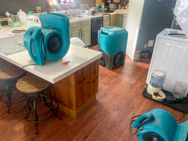  Gerber, CA Water damage restoration Pros