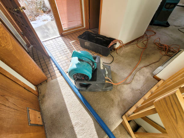 Best Basement water damage restoration  in Gerber, CA