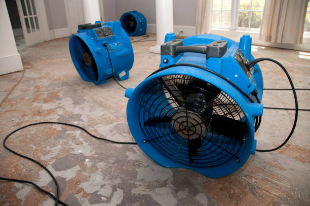Best Flood damage cleanup  in Gerber, CA
