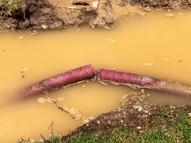Best Water damage restoration near me  in Gerber, CA