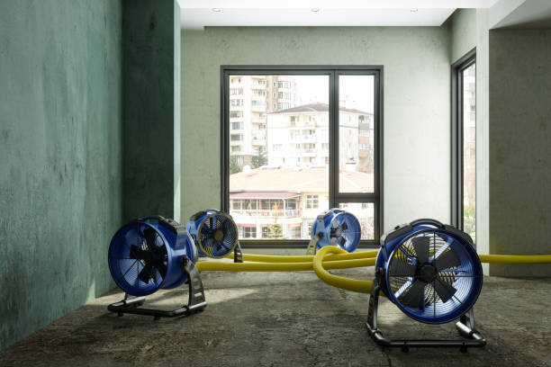 Sewage cleanup and water damage restoration in Gerber, CA